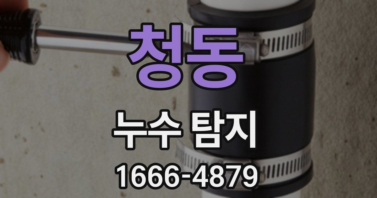청동 누수 탐지