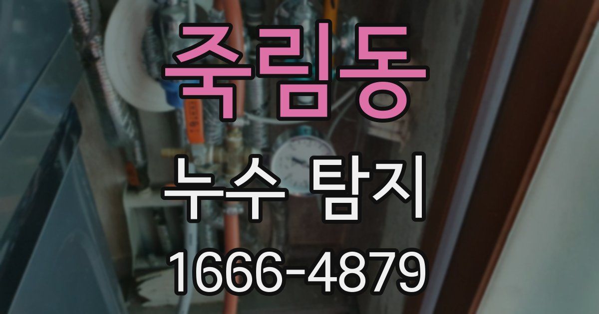 죽림동 누수 탐지