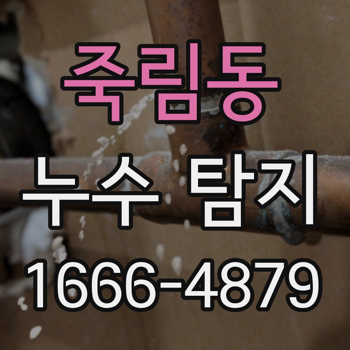 죽림동 누수 탐지