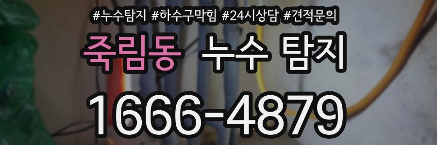 죽림동 누수 탐지