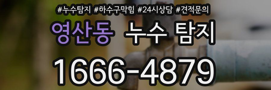 영산동 누수 탐지