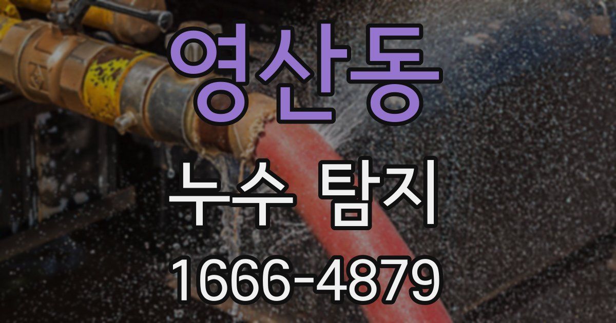 영산동 누수 탐지