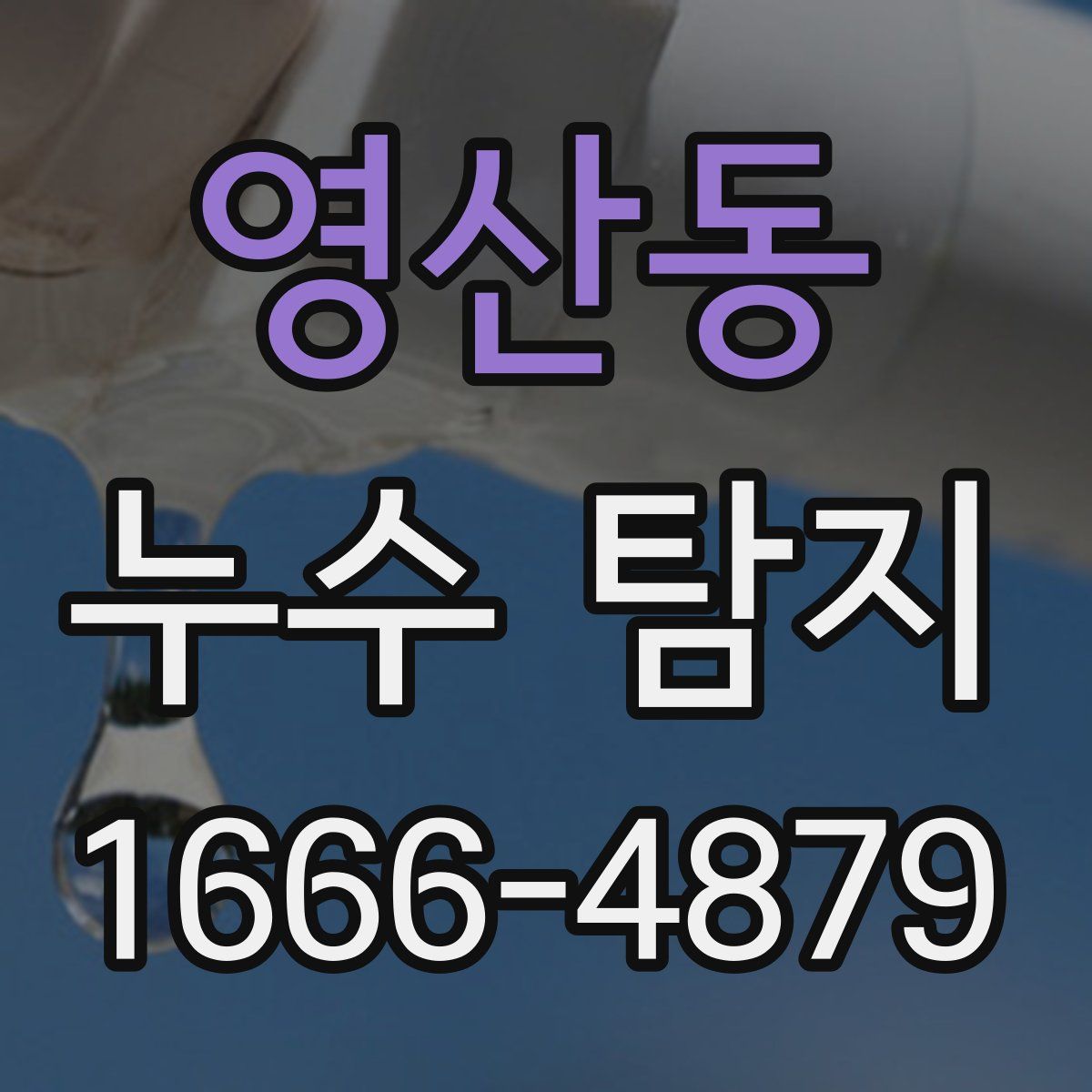 영산동 누수 탐지
