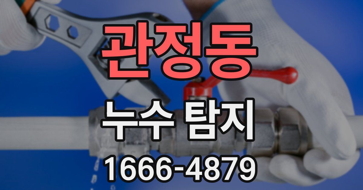 관정동 누수 탐지