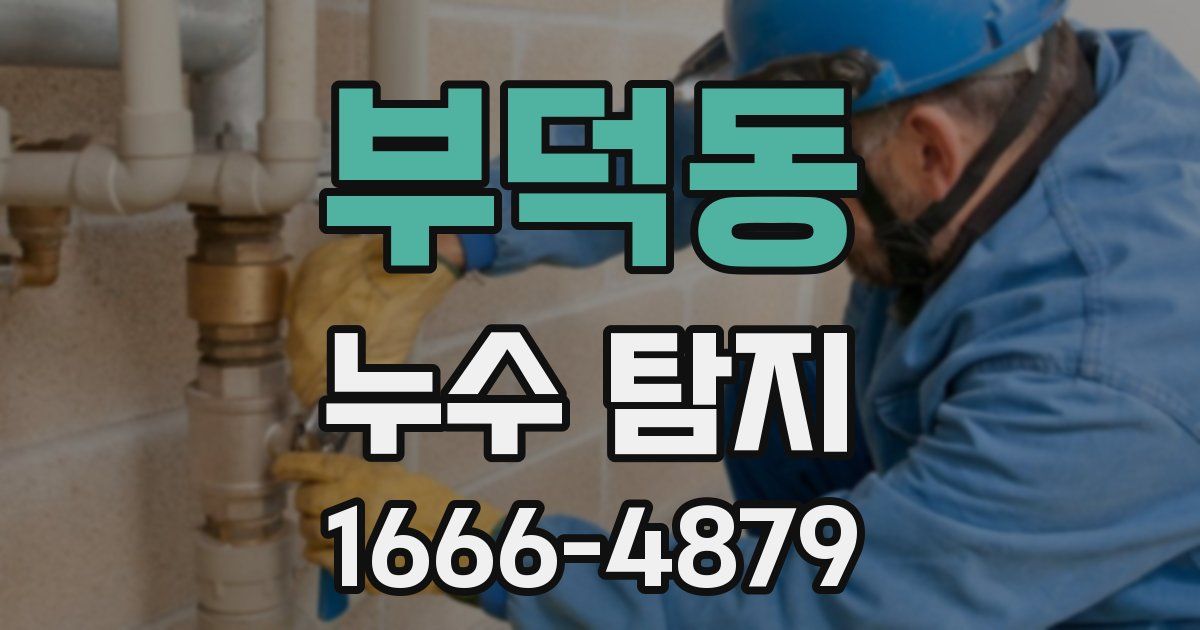 부덕동 누수 탐지