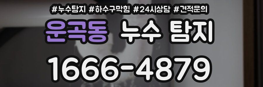 운곡동 누수 탐지
