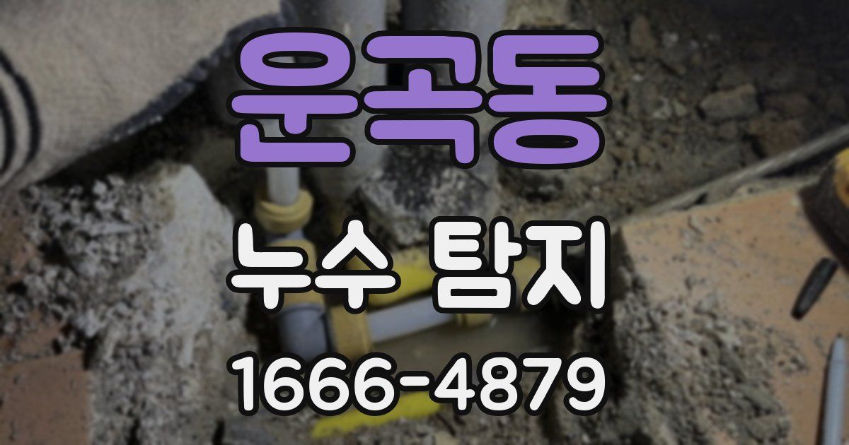운곡동 누수 탐지