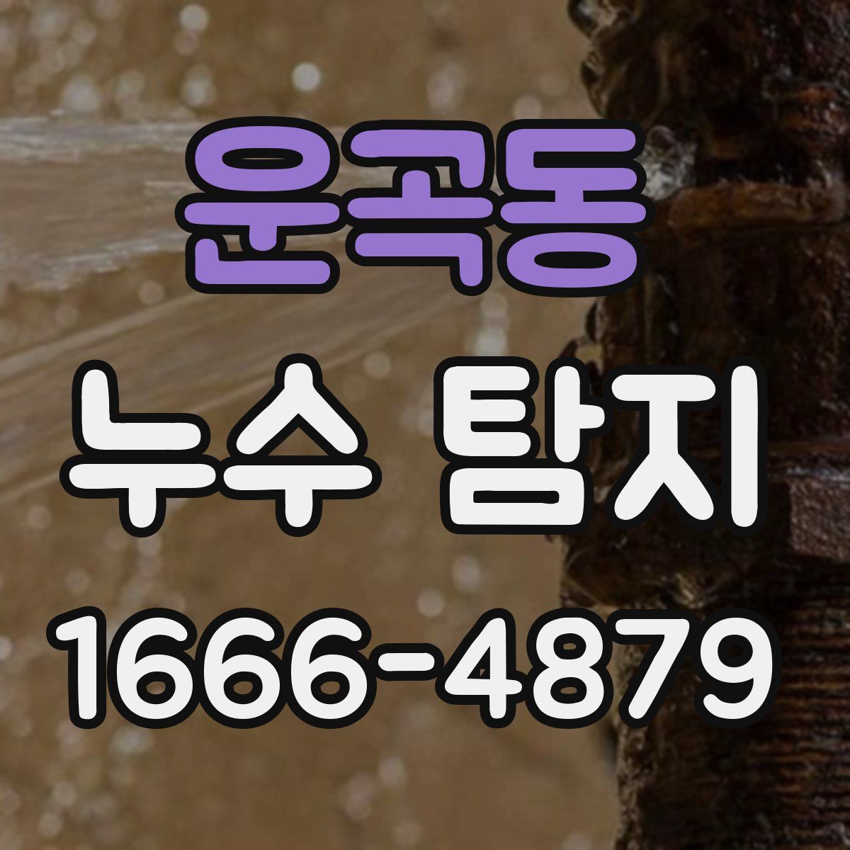 운곡동 누수 탐지