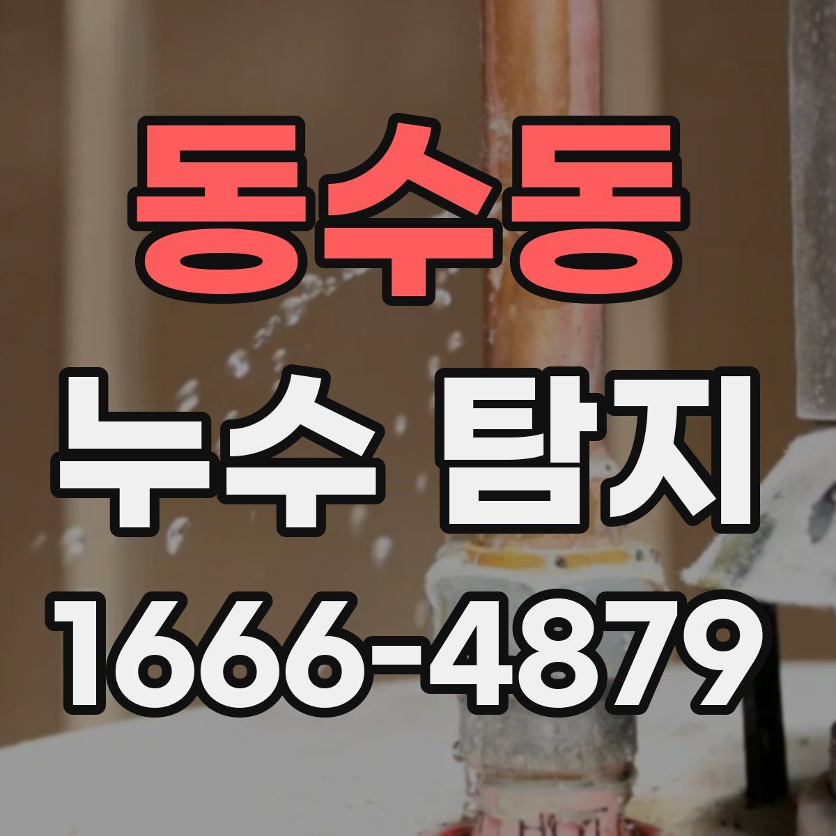 동수동 누수 탐지
