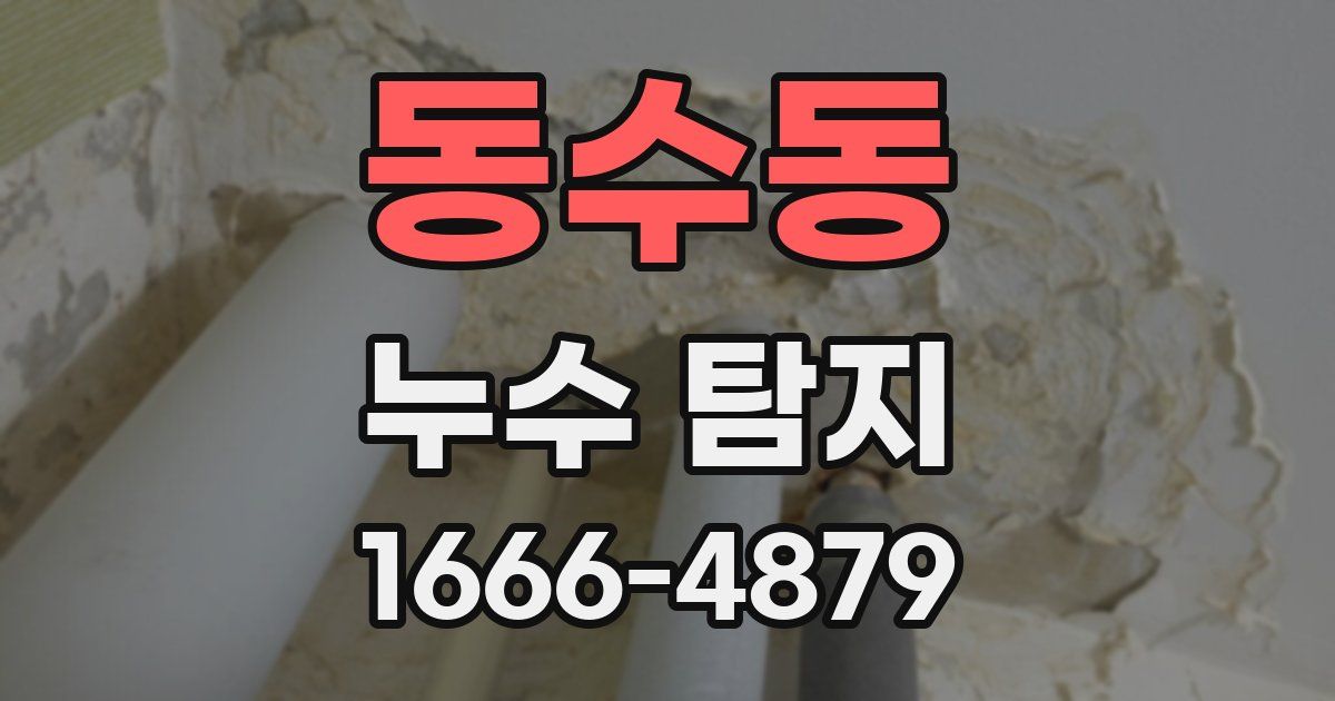 동수동 누수 탐지