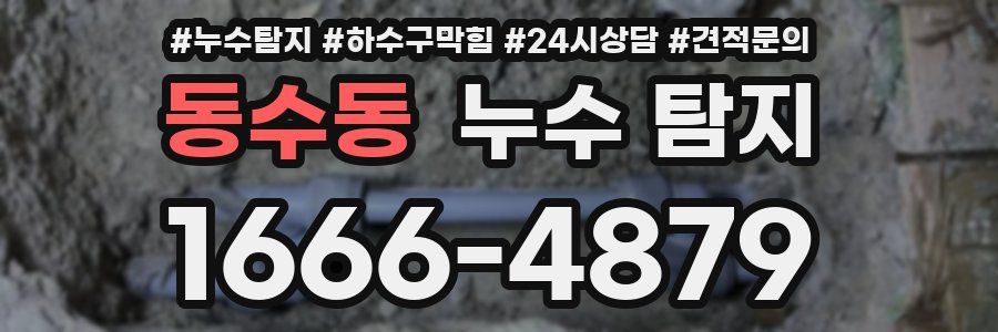동수동 누수 탐지