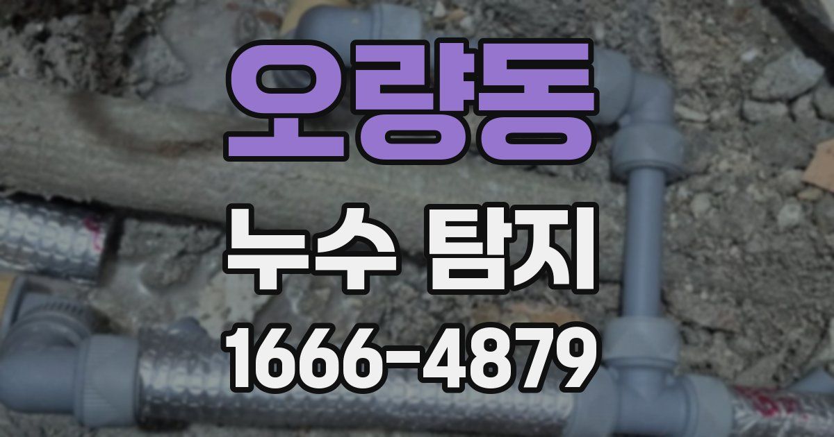 오량동 누수 탐지