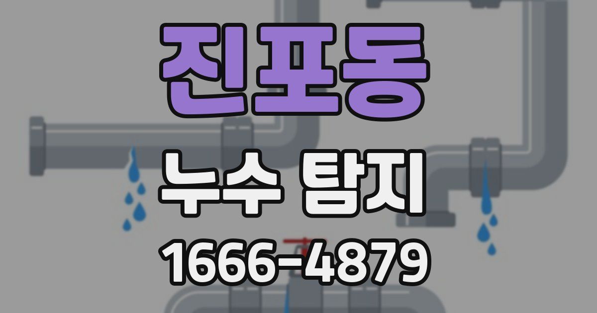 진포동 누수 탐지