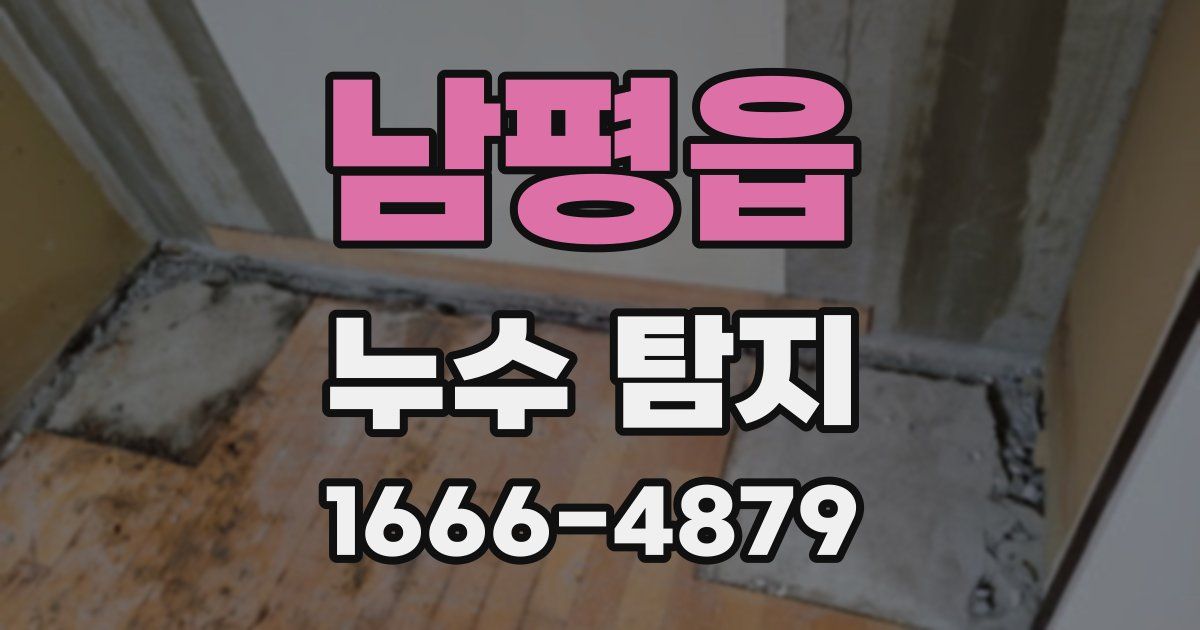 남평읍 누수 탐지