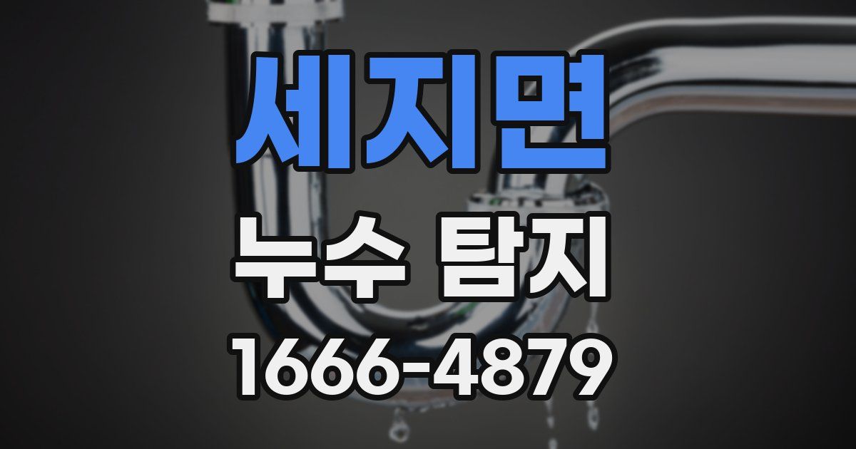 세지면 누수 탐지