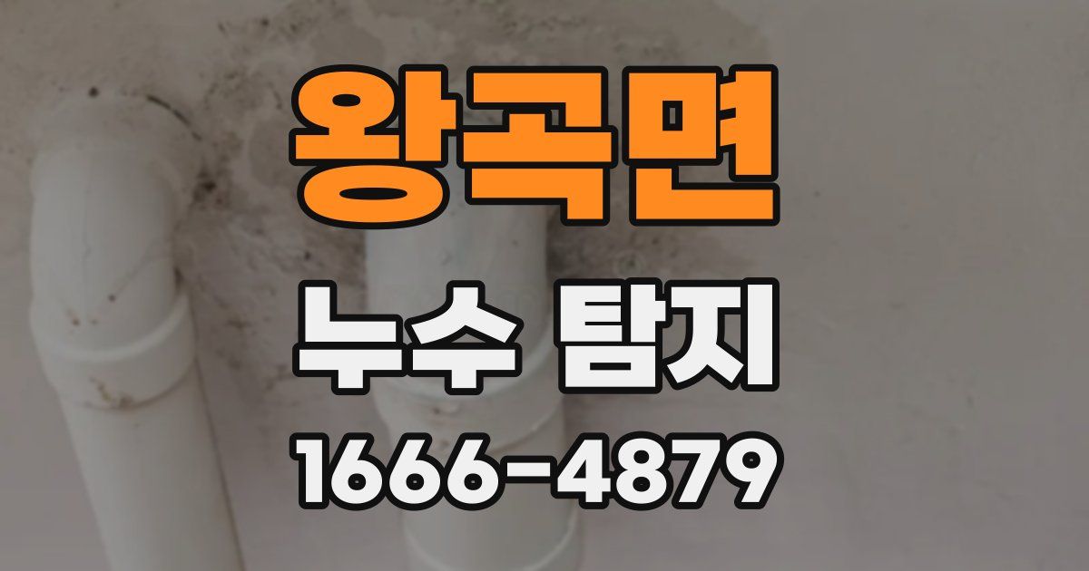 왕곡면 누수 탐지