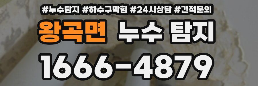 왕곡면 누수 탐지