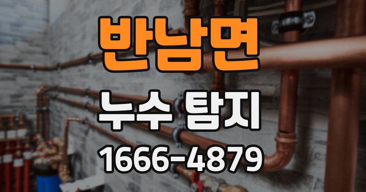 반남면 누수 탐지