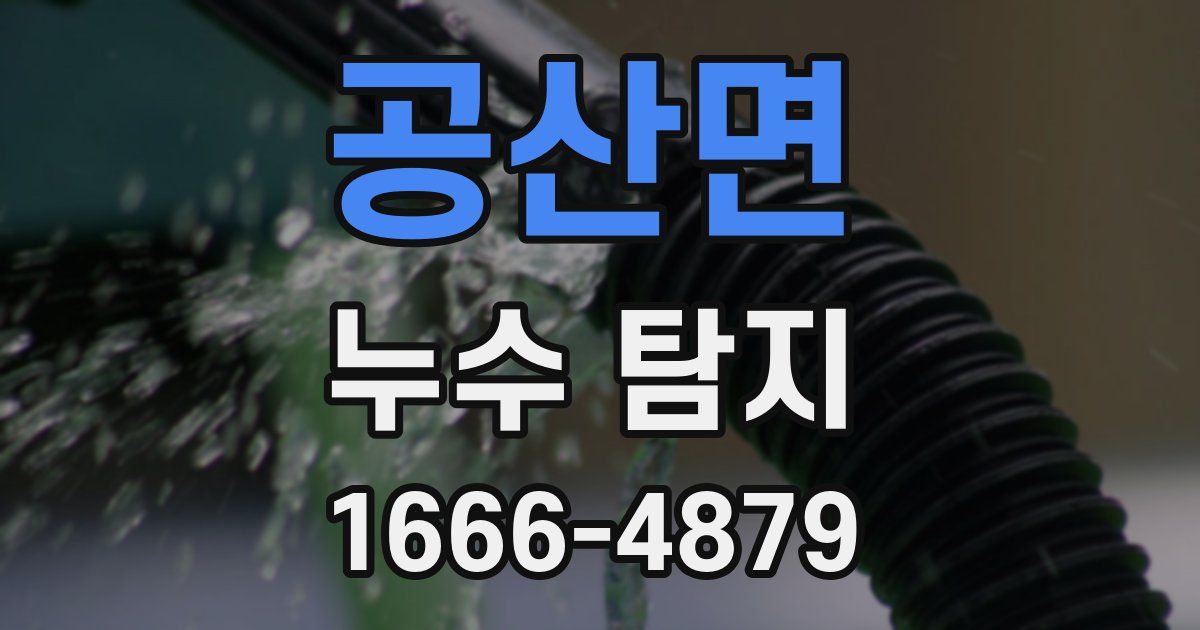 공산면 누수 탐지