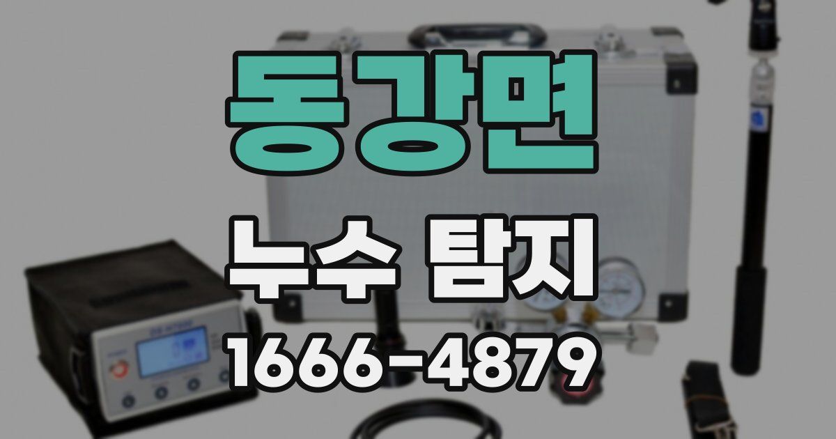 동강면 누수 탐지