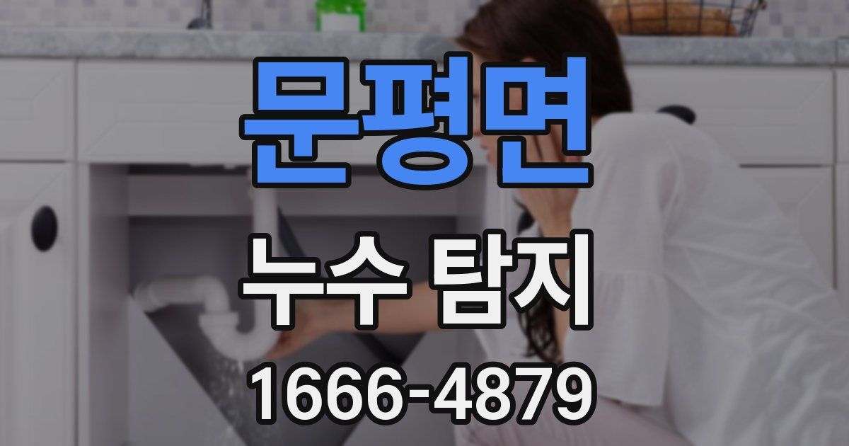 문평면 누수 탐지