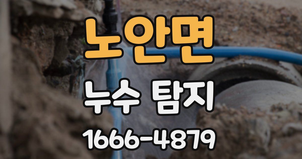 노안면 누수 탐지