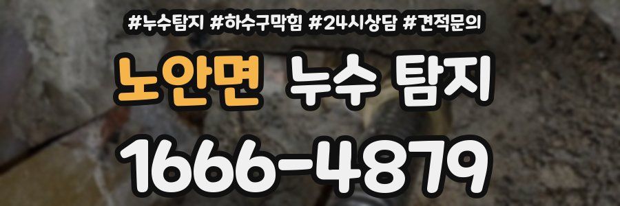 노안면 누수 탐지