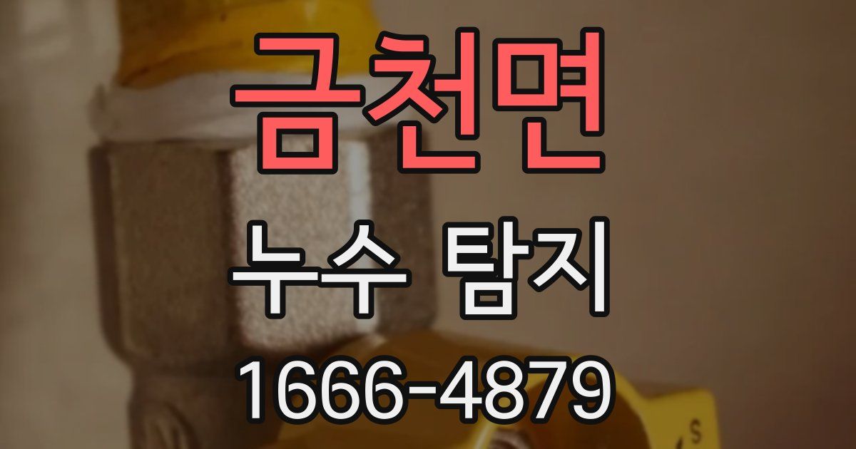 금천면 누수 탐지