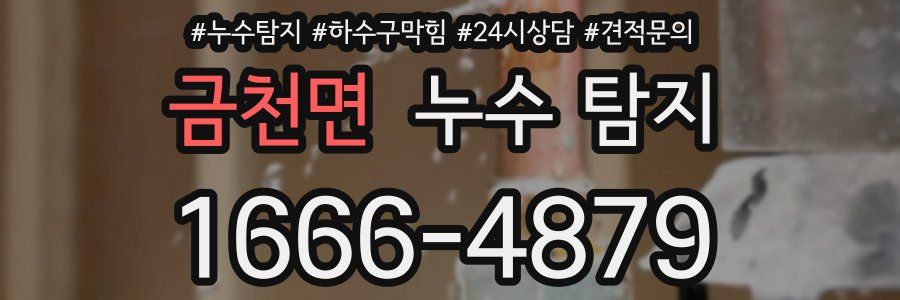 금천면 누수 탐지