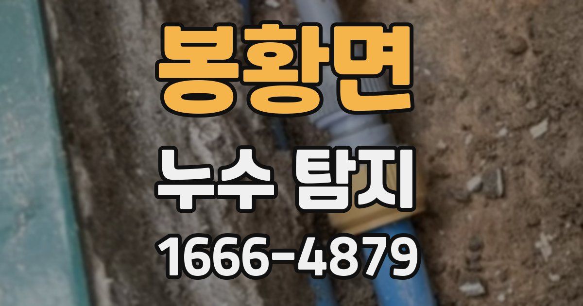 봉황면 누수 탐지