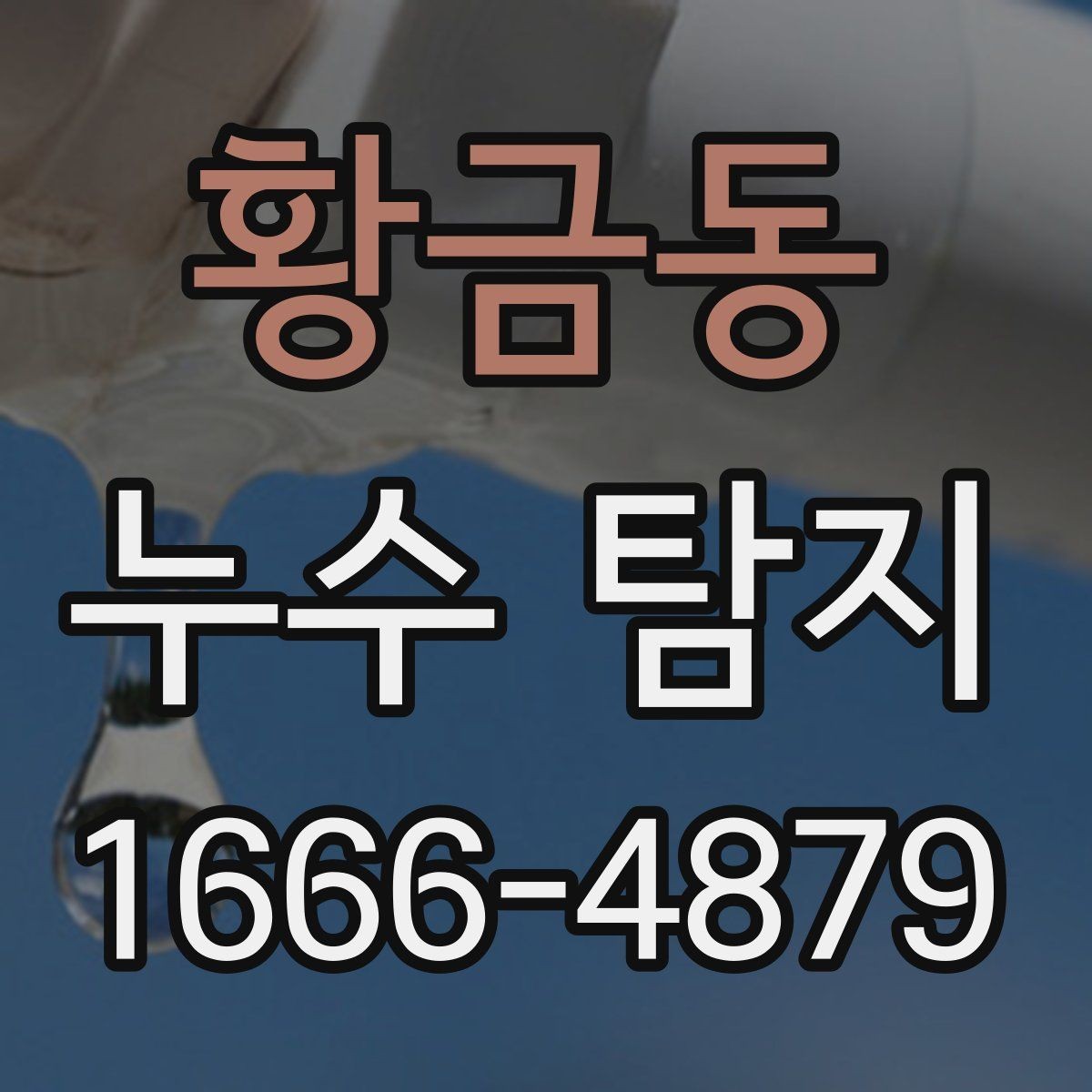 황금동 누수 탐지 장비는 어떤 기준으로 볼까