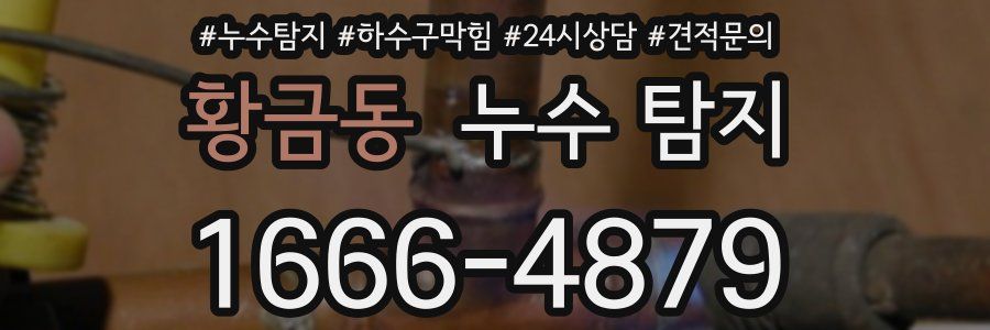 황금동 누수 탐지