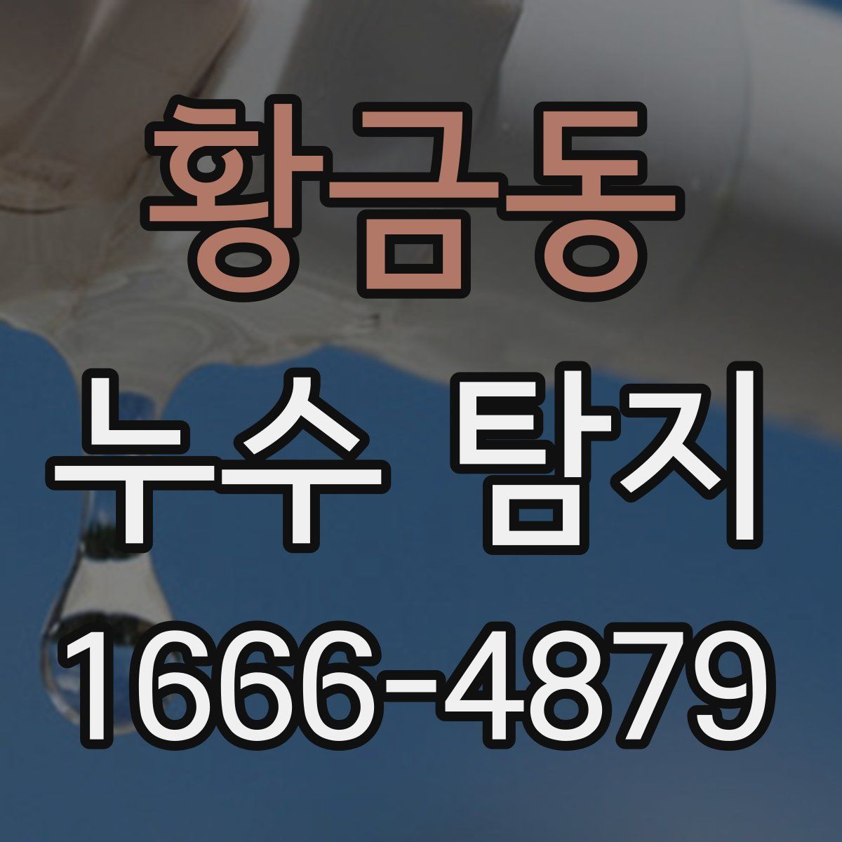 황금동 누수 탐지