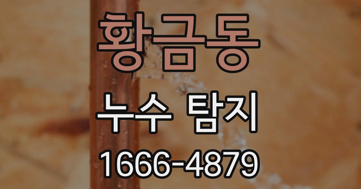 황금동 누수 탐지