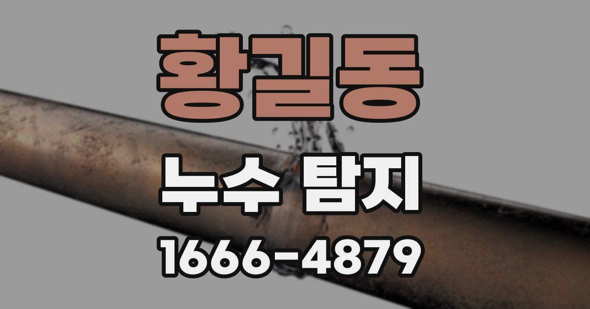 황길동 누수 탐지