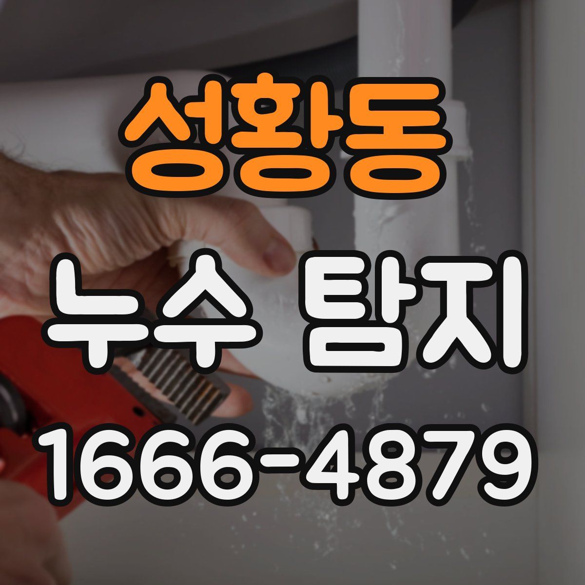 성황동 누수 탐지