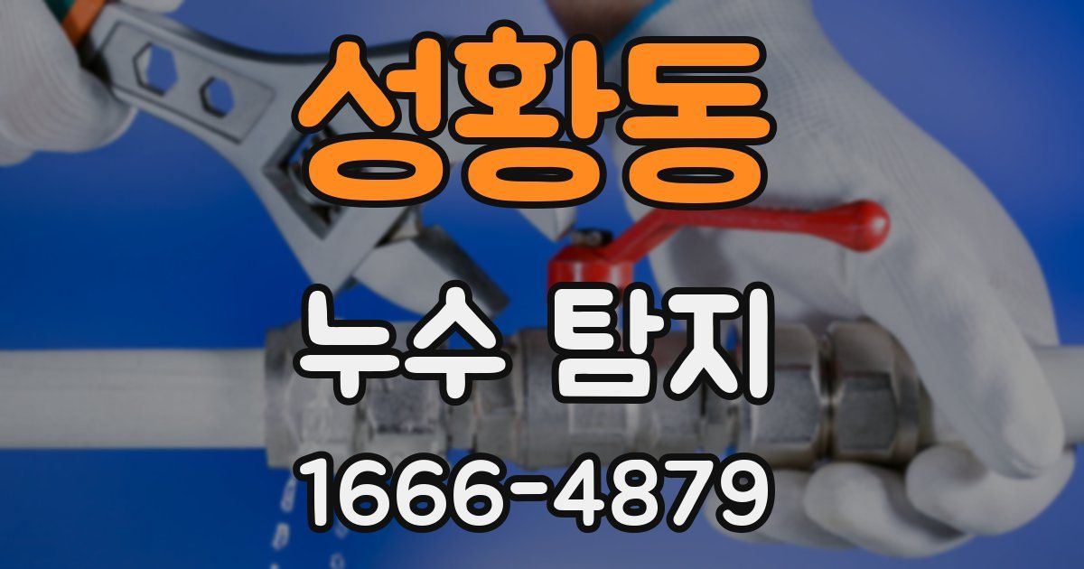 성황동 누수 탐지