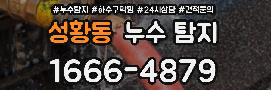 성황동 누수 탐지