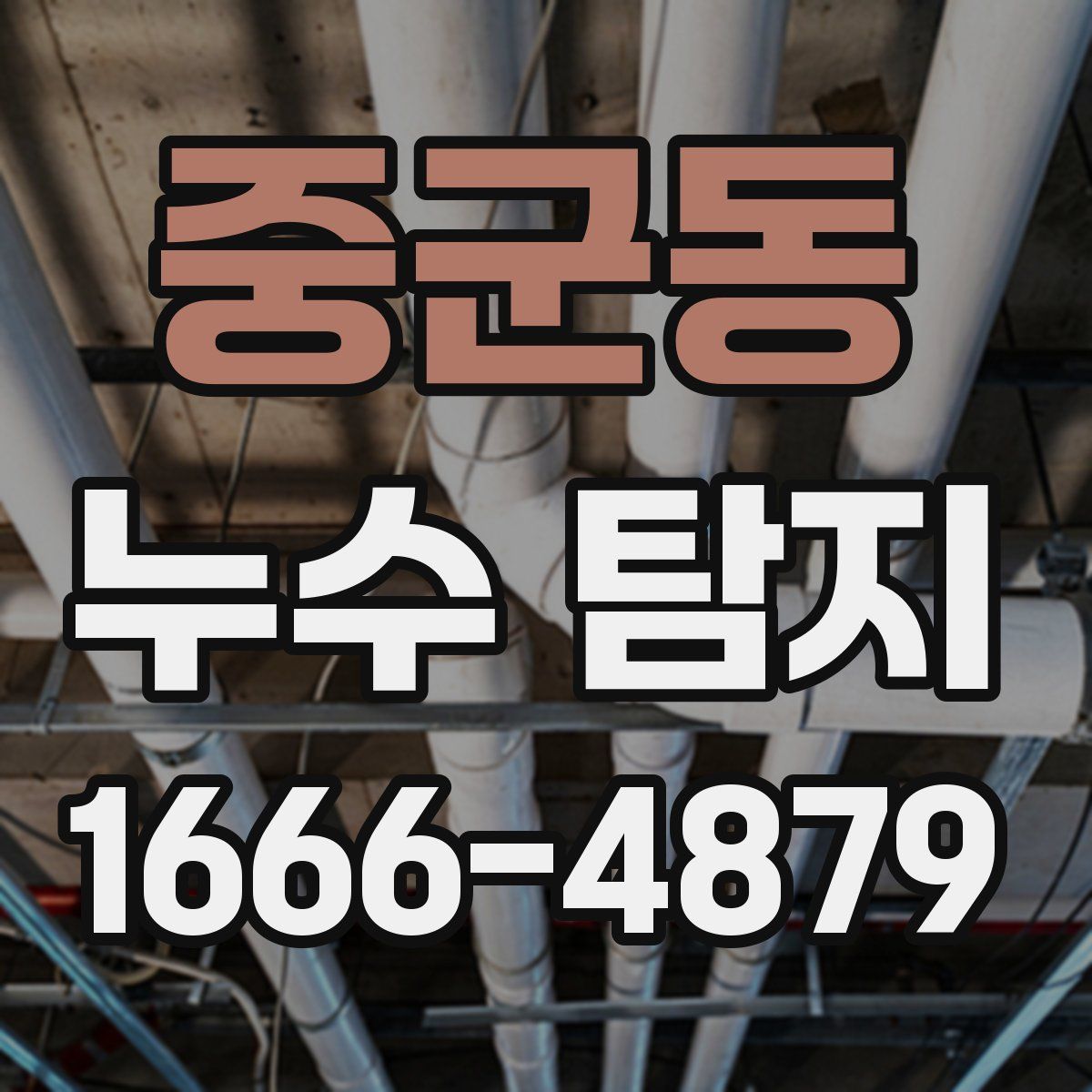 중군동 누수 탐지