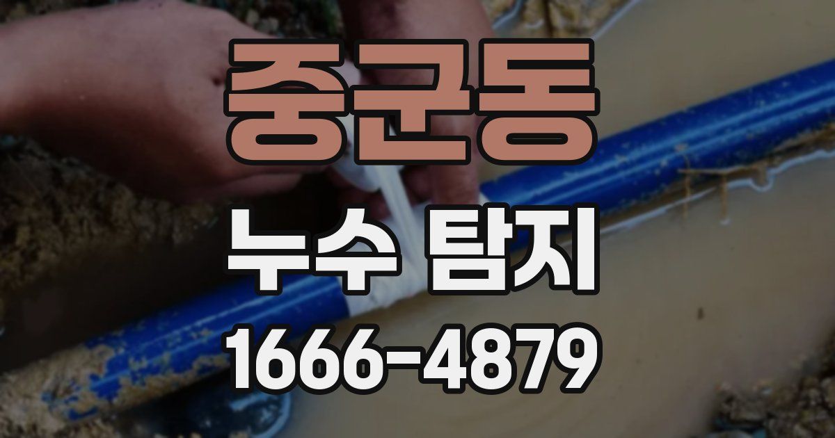 중군동 누수 탐지