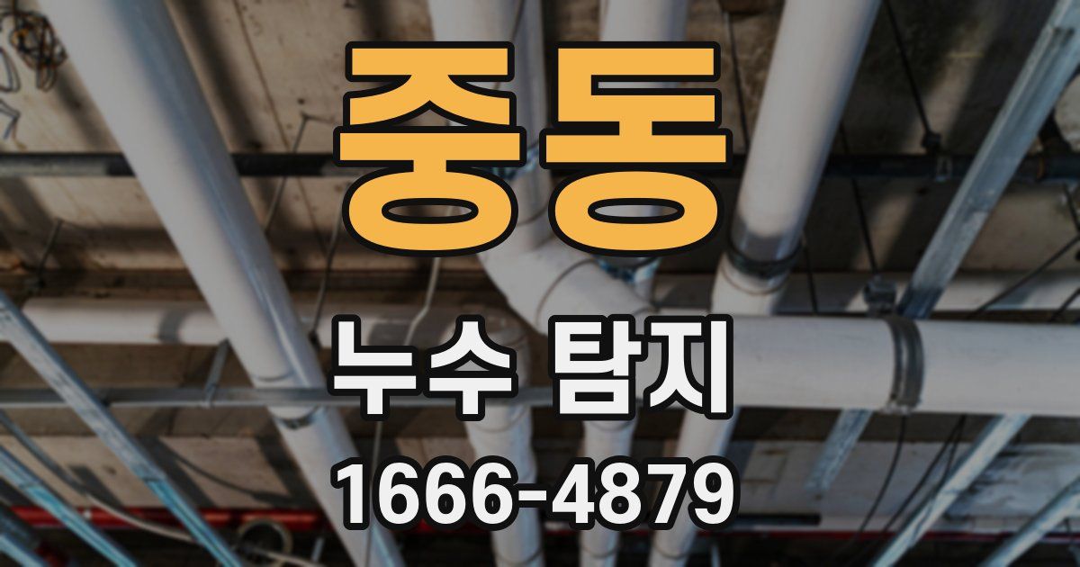중동 누수 탐지