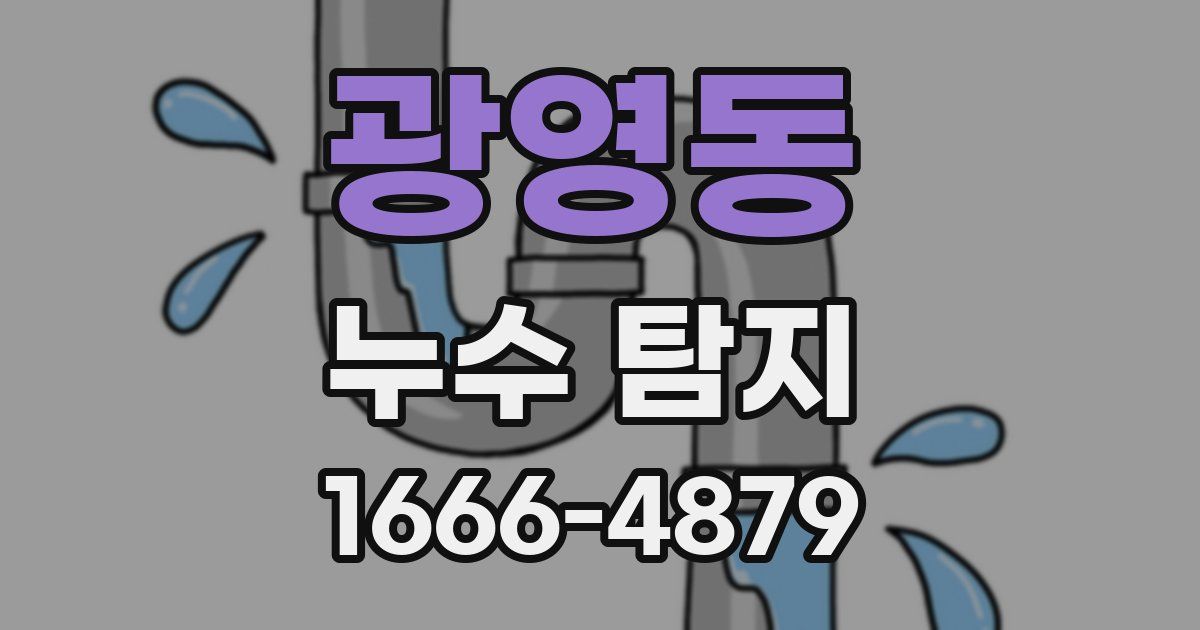 광영동 누수 탐지