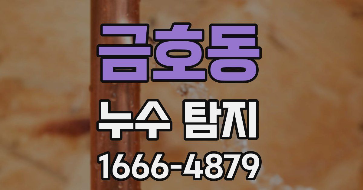 금호동 누수 탐지