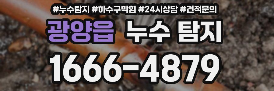 광양읍 누수 탐지
