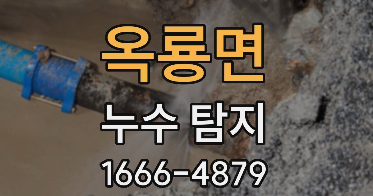 옥룡면 누수 탐지