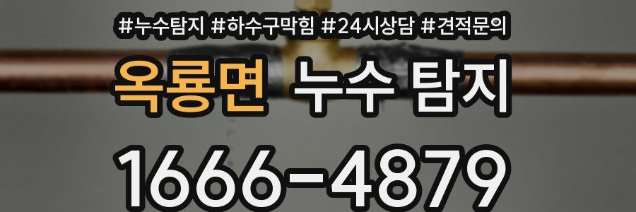 옥룡면 누수 탐지