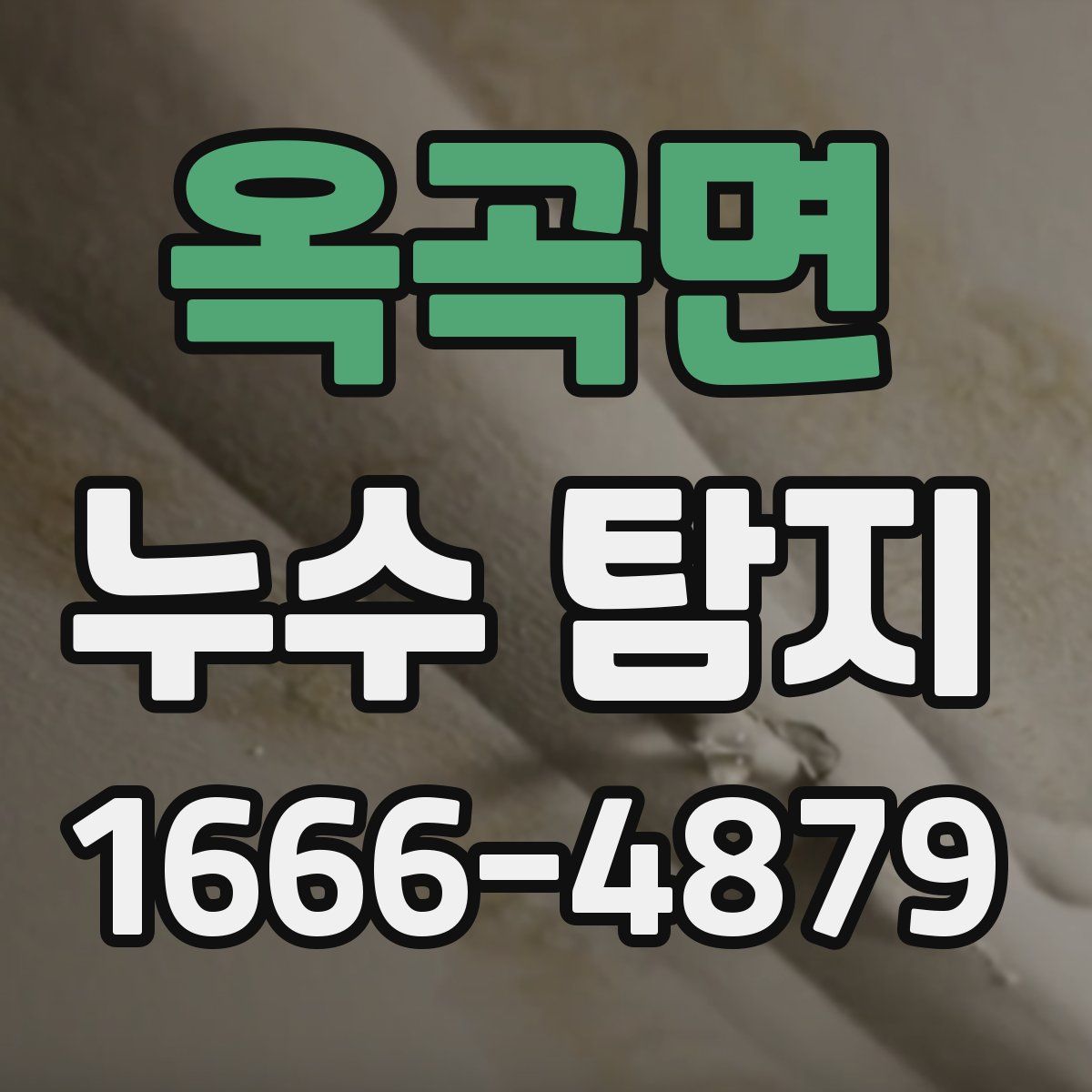 옥곡면 누수 탐지