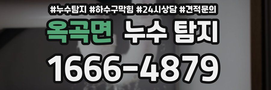 옥곡면 누수 탐지