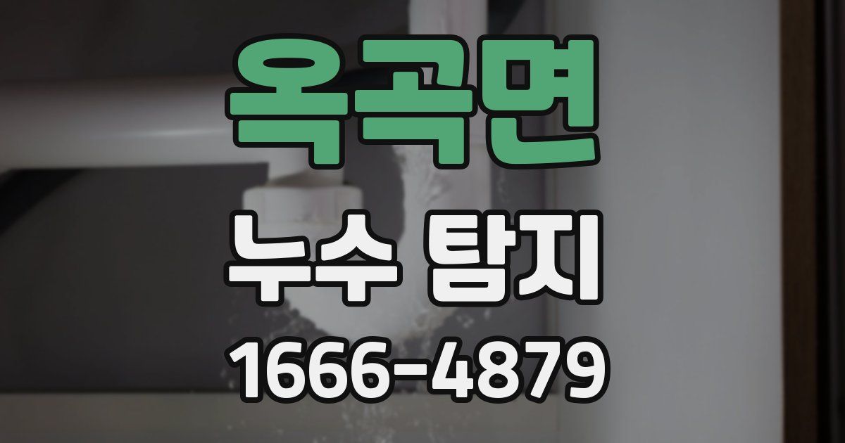 옥곡면 누수 탐지