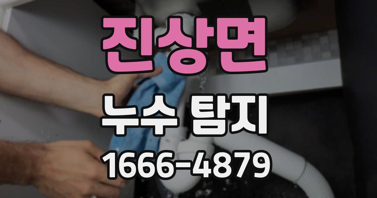진상면 누수 탐지